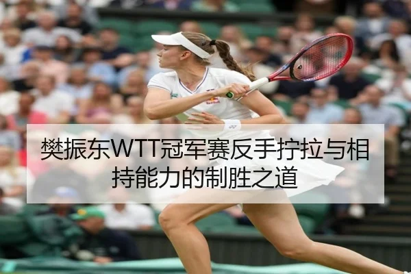樊振东WTT冠军赛反手拧拉与相持能力的制胜之道