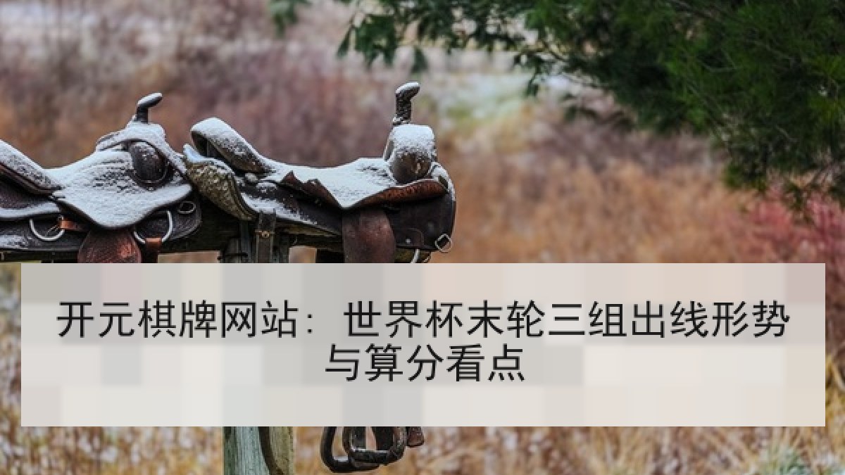 开元棋牌网站: 世界杯末轮三组出线形势与算分看点