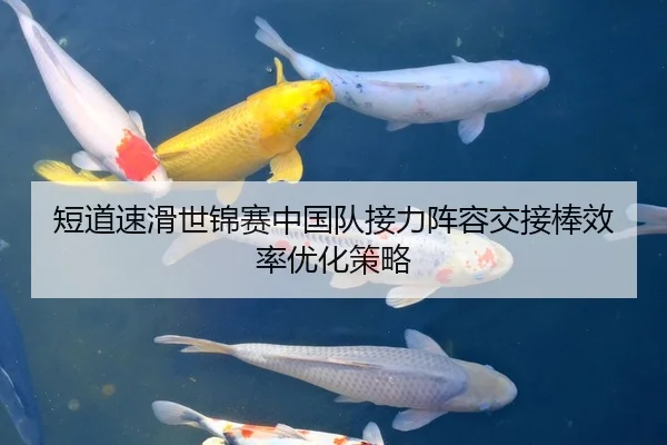 短道速滑世锦赛中国队接力阵容交接棒效率优化策略