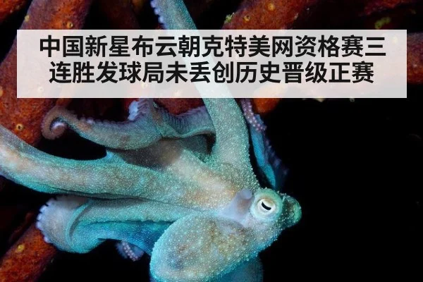 中国新星布云朝克特美网资格赛三连胜发球局未丢创历史晋级正赛