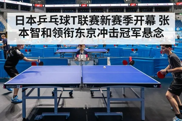 table tennis match arena